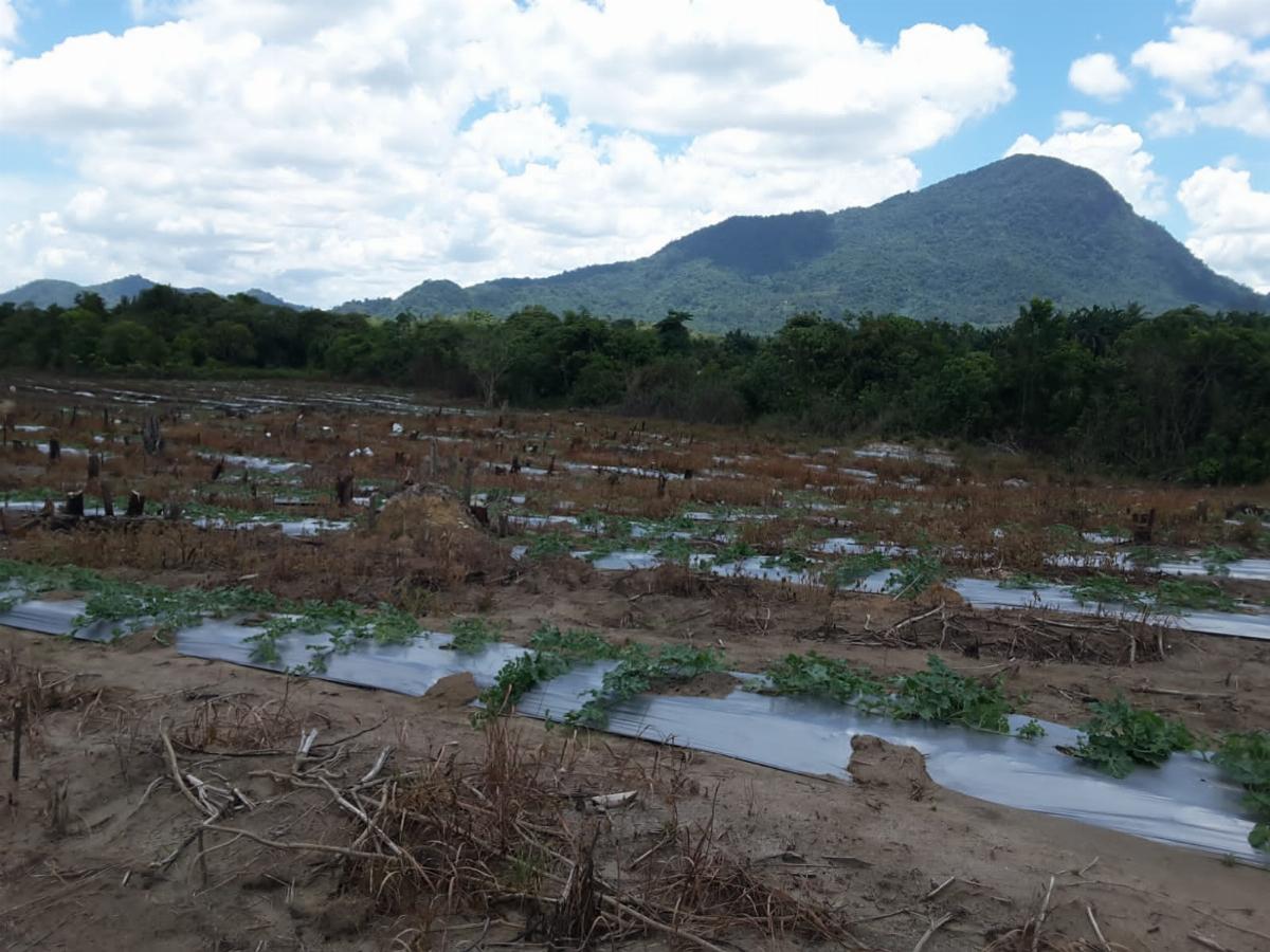 Kavling di Singkawang - View 4