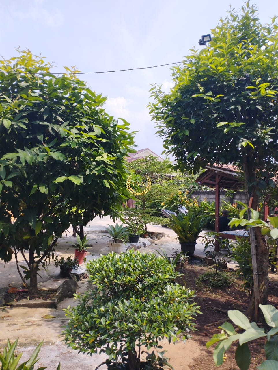 Rumah kebun siap huni di Depok - View 3